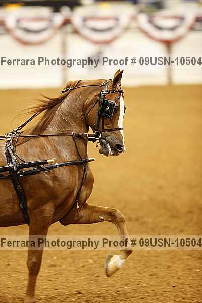Proof 09usn-10504