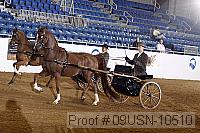 09usn-10510 proof