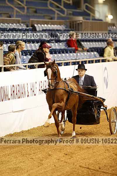Proof 09usn-10522