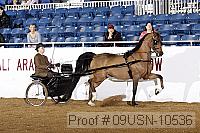 09usn-10536 proof