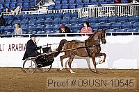 09usn-10545 proof