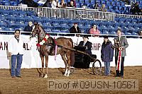 09usn-10561 proof