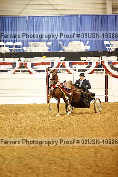 Proof 09usn-10586