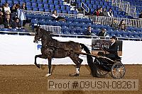 09usn-08261 proof