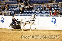 09usn-08275 proof
