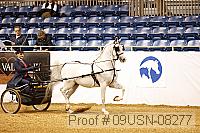 09usn-08277 proof