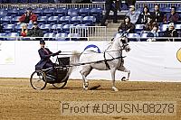 09usn-08278 proof