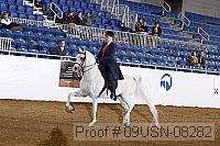 09usn-08282 proof