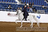 09usn-08283 proof