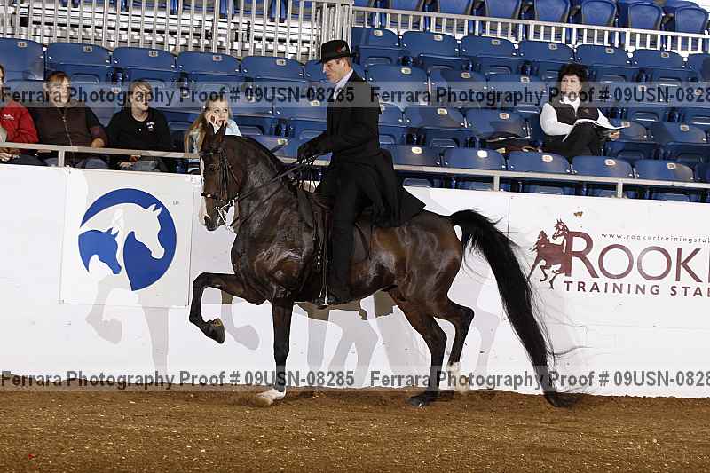 Proof 09usn-08285