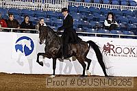 09usn-08285 proof