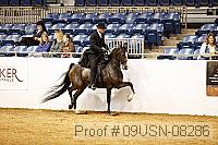 09usn-08286 proof