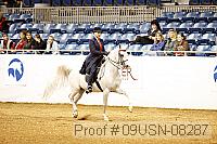 09usn-08287 proof