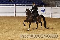 09usn-08289 proof