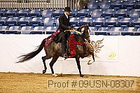 09usn-08307 proof