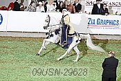 09usn-29628 proof