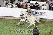 09usn-29644 proof