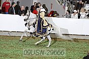 09usn-29666 proof