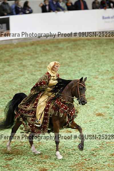 Proof 09usn-25228