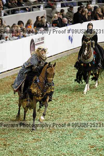 Proof 09usn-25231