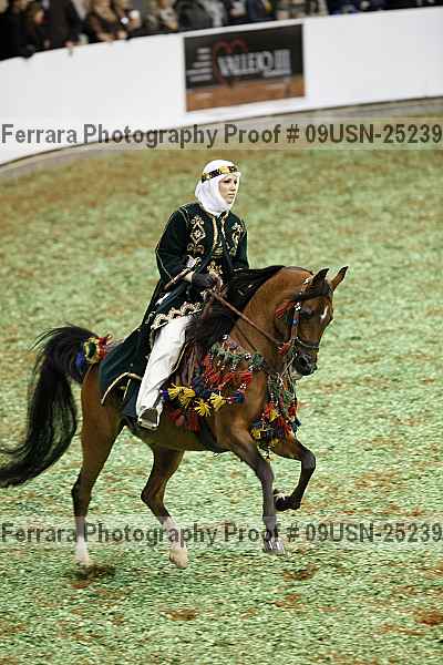 Proof 09usn-25239