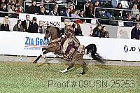 09usn-25253 proof