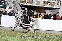 09usn-25273 proof