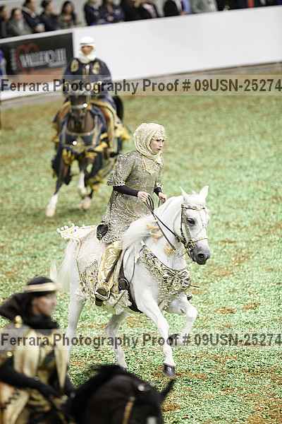 Proof 09usn-25274