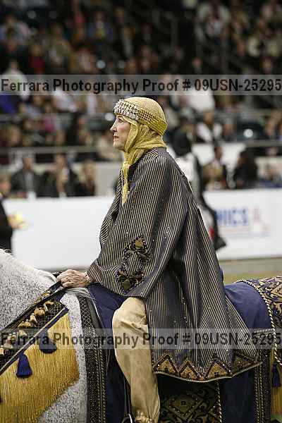 Proof 09usn-25295
