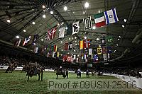 09usn-25306 proof