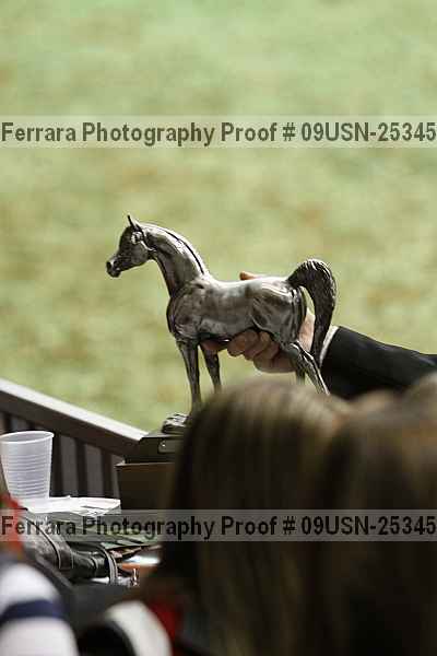Proof 09usn-25345