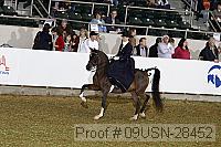09usn-28452 proof