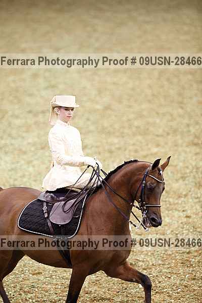 Proof 09usn-28466
