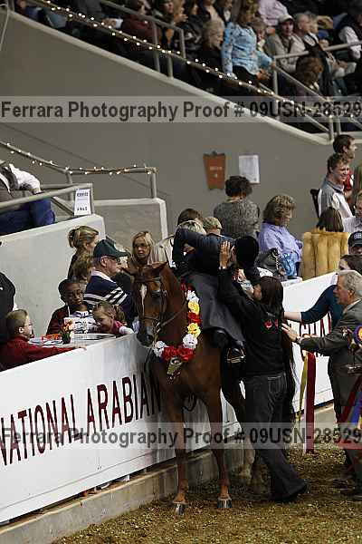 Proof 09usn-28529
