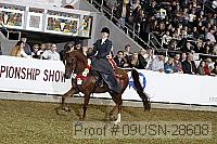 09usn-28608 proof