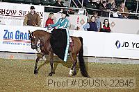 09usn-22845 proof