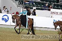 09usn-22862 proof