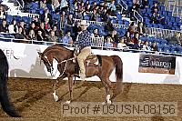 09usn-08156 proof