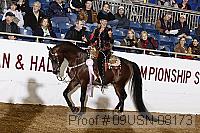 09usn-08173 proof