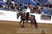 09usn-08188 proof