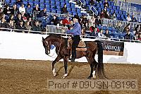 09usn-08196 proof