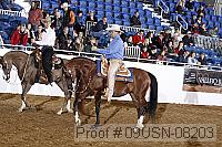 09usn-08203 proof