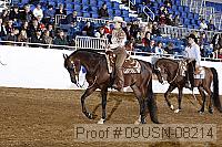 09usn-08214 proof