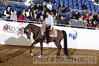 09usn-08215 proof