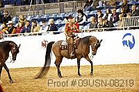 09usn-08219 proof