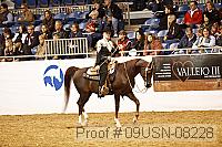 09usn-08228 proof