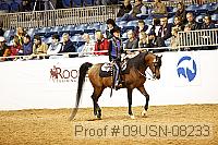 09usn-08233 proof