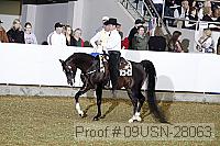 09usn-28063 proof