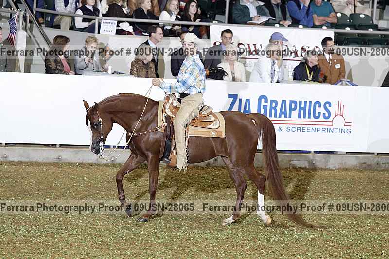 Proof 09usn-28065