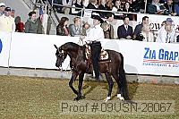09usn-28067 proof